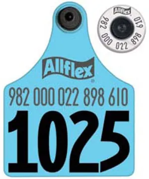 Allflex Blank EID & Maxi Cattle Ear Tag Sets, 50 ct