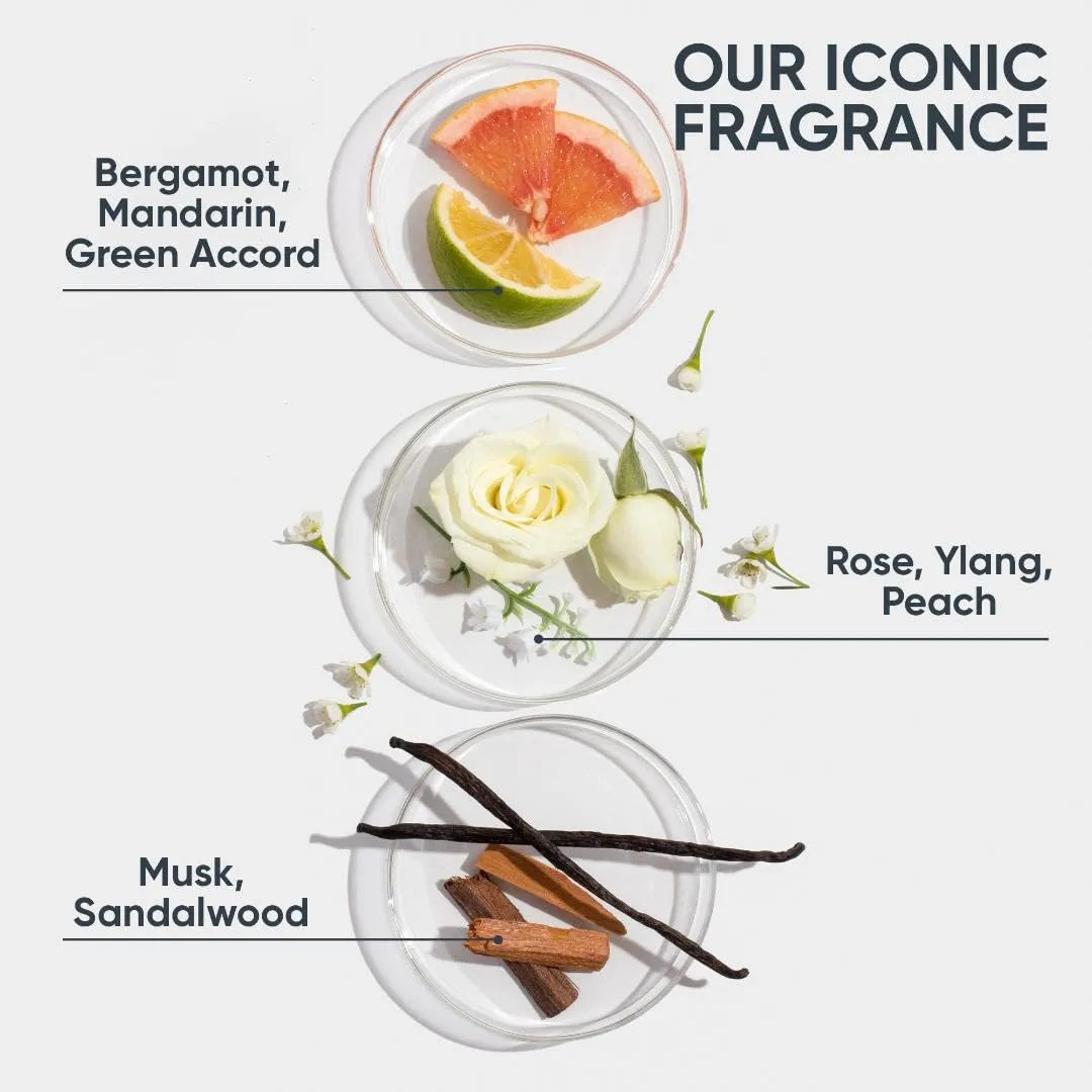 Biolage Scalp Sync Universal Conditioner | Lightweight Conditioner | Nourishes Hair & Promotes Healthy Scalp | Fermented Tea & Glycolic Acid | Sulfate-Free | Paraben-Free | For All Scalp Types