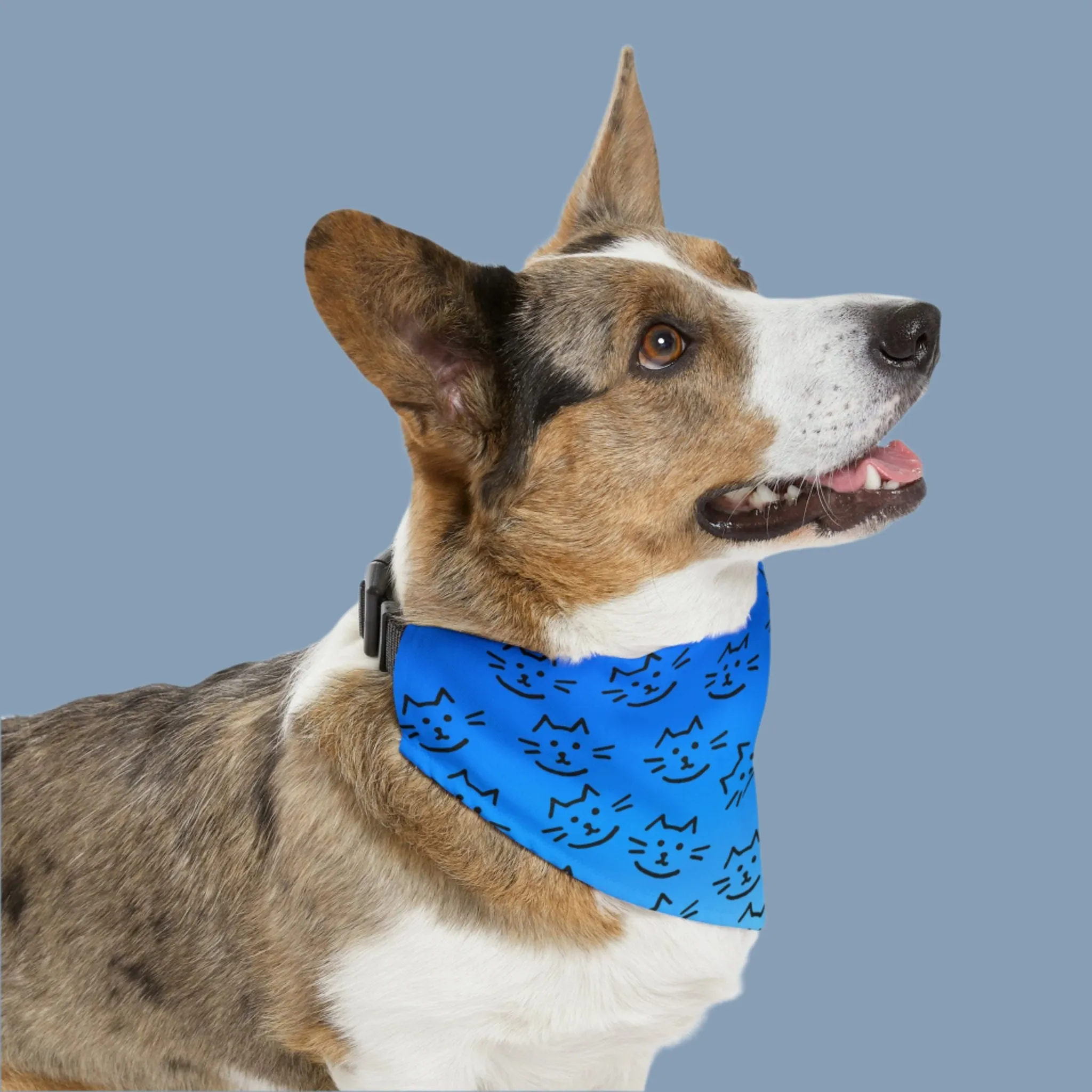Bright Blue "Cat Supervisor" Bandana COLLAR with Playful Cat Graphics and Easy On-Off Buckle, Fun Dog Mom Gift, 4 Sizes