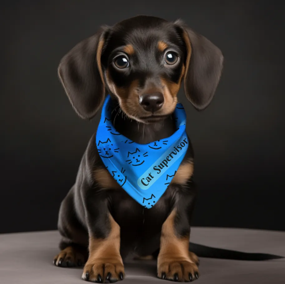 Bright Blue "Cat Supervisor" Bandana COLLAR with Playful Cat Graphics and Easy On-Off Buckle, Fun Dog Mom Gift, 4 Sizes