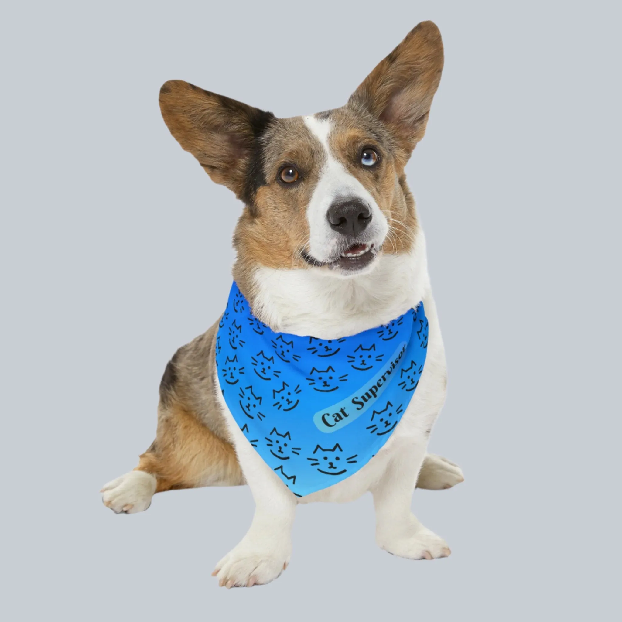 Bright Blue "Cat Supervisor" Bandana COLLAR with Playful Cat Graphics and Easy On-Off Buckle, Fun Dog Mom Gift, 4 Sizes