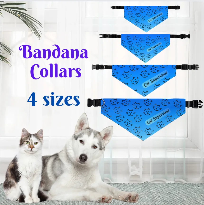 Bright Blue "Cat Supervisor" Bandana COLLAR with Playful Cat Graphics and Easy On-Off Buckle, Fun Dog Mom Gift, 4 Sizes