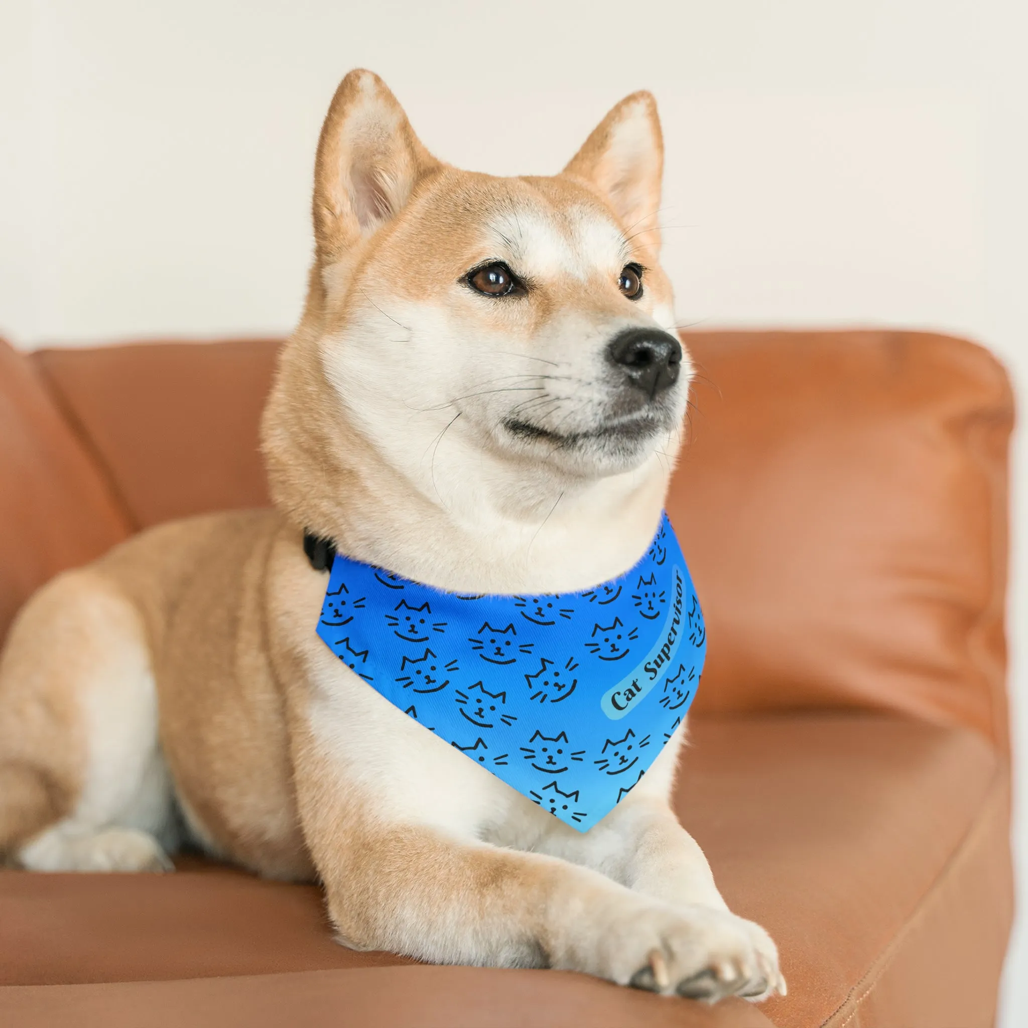 Bright Blue "Cat Supervisor" Bandana COLLAR with Playful Cat Graphics and Easy On-Off Buckle, Fun Dog Mom Gift, 4 Sizes