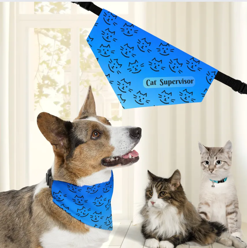 Bright Blue "Cat Supervisor" Bandana COLLAR with Playful Cat Graphics and Easy On-Off Buckle, Fun Dog Mom Gift, 4 Sizes