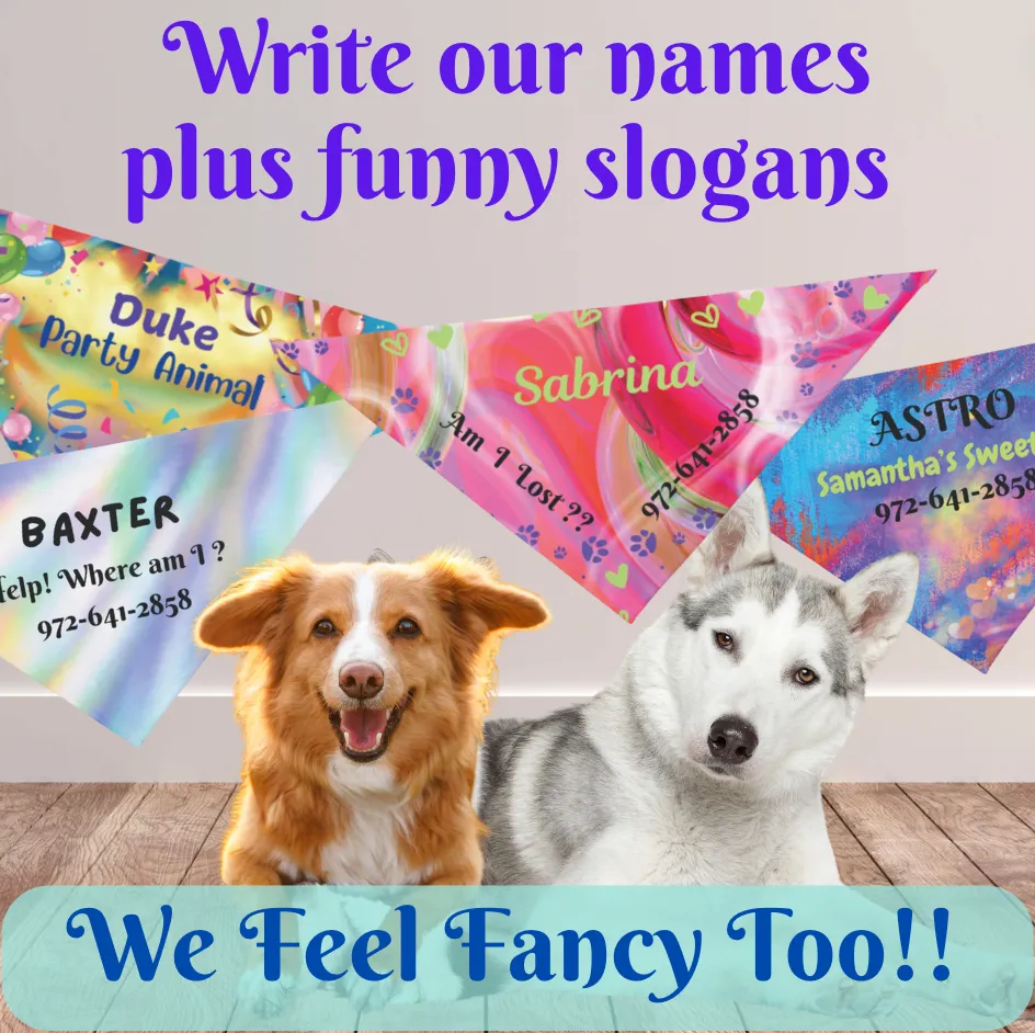 Customizable Pink-n-Red Abstract Pet Bandana with "Am I Lost?" Text, Easily Customize with Dog Name and Phone Number for a Bright, Personalized Safety Net, Unique Pet Lover Dog Mom Gift