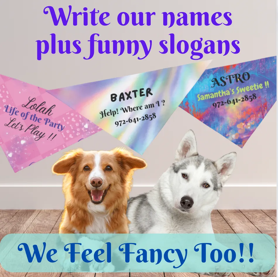 Customizable Pink-n-Red Abstract Pet Bandana with "Am I Lost?" Text, Easily Customize with Dog Name and Phone Number for a Bright, Personalized Safety Net, Unique Pet Lover Dog Mom Gift