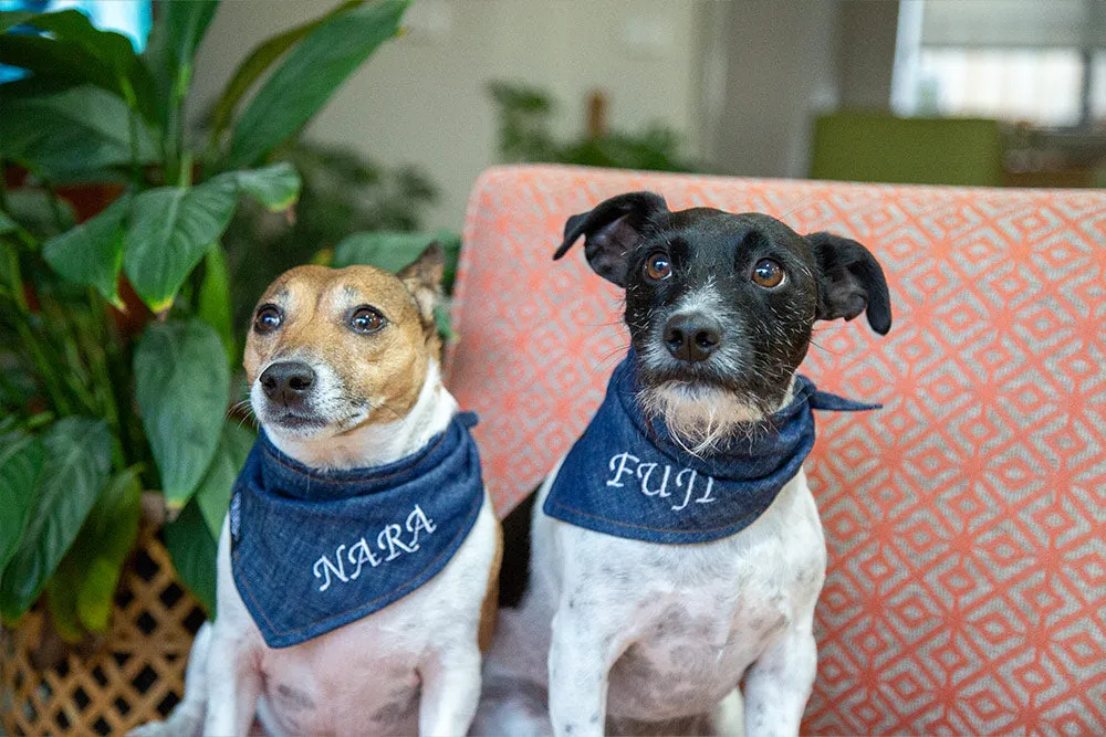Denim on Denim - Dog Bandana with Optional Personalised Embroidery