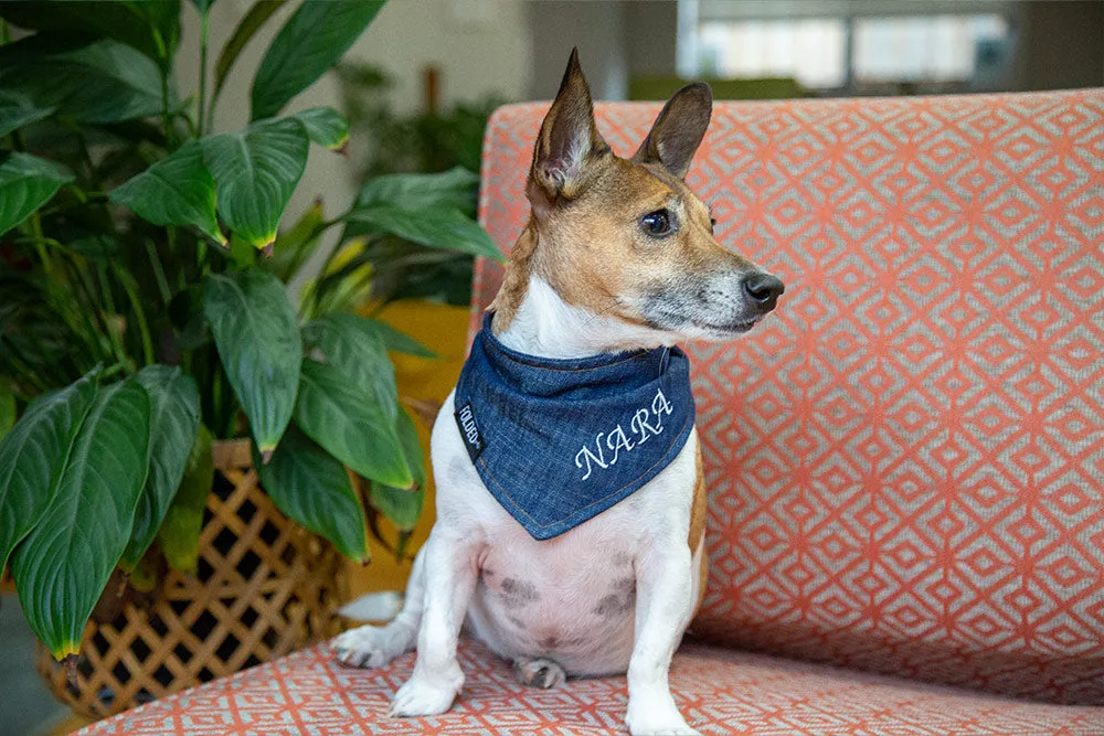 Denim on Denim - Dog Bandana with Optional Personalised Embroidery