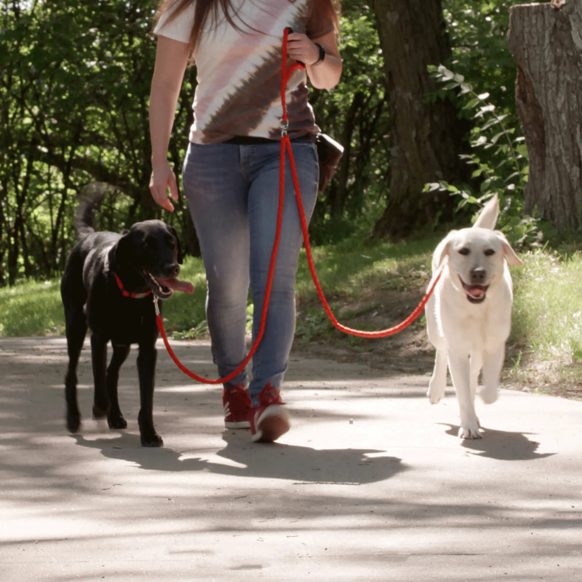 Dual Dog Leash - Red