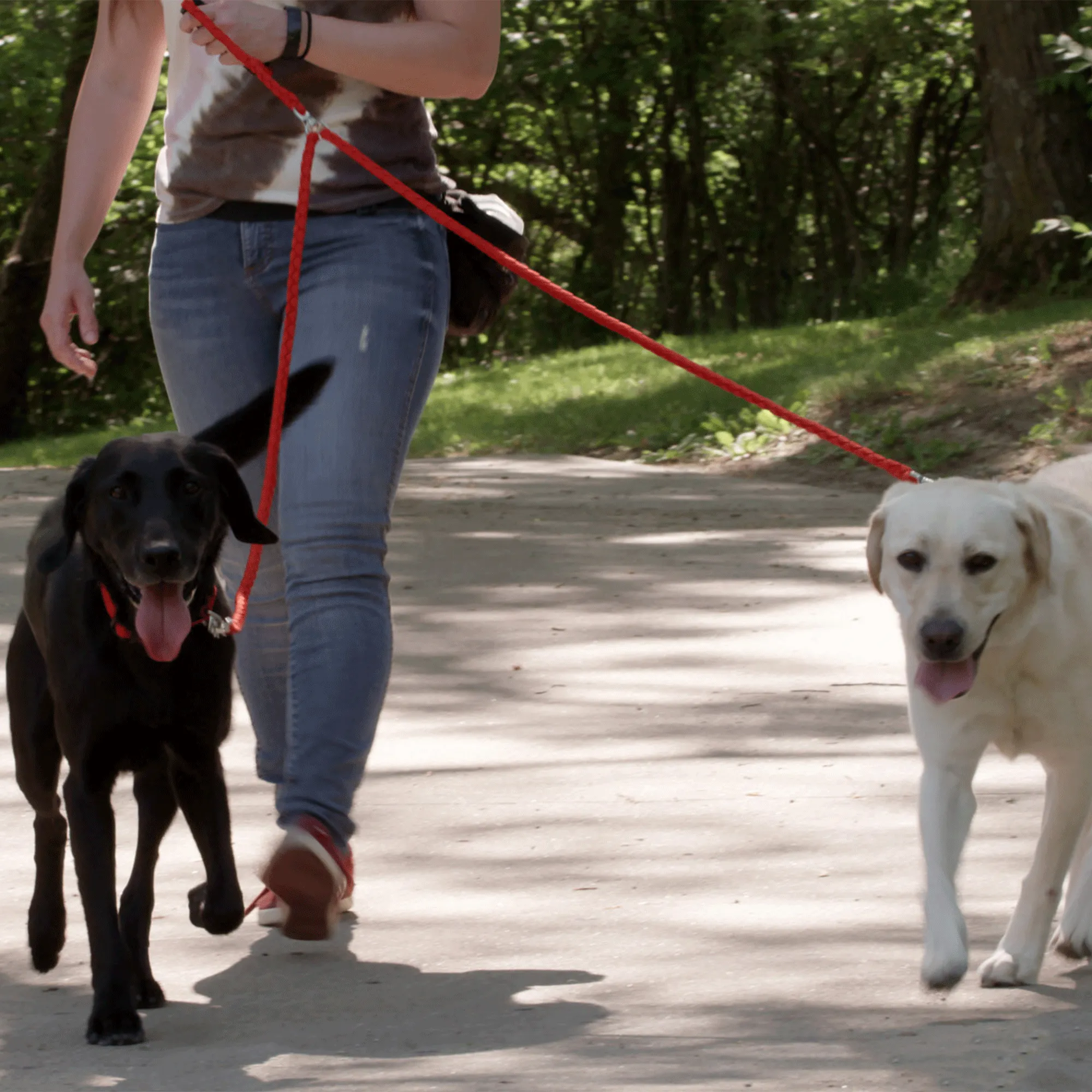 Dual Dog Leash - Red