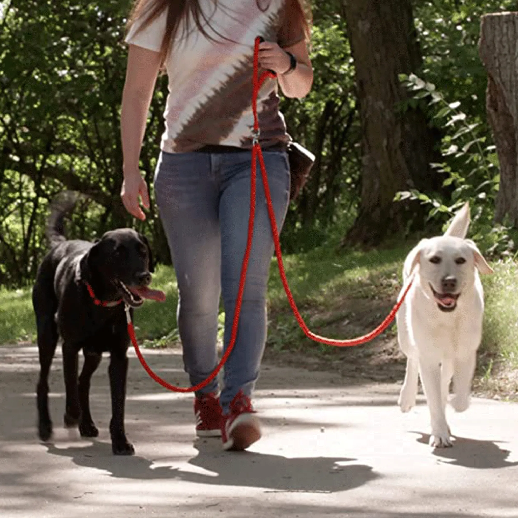 Dual Dog Leash - Red