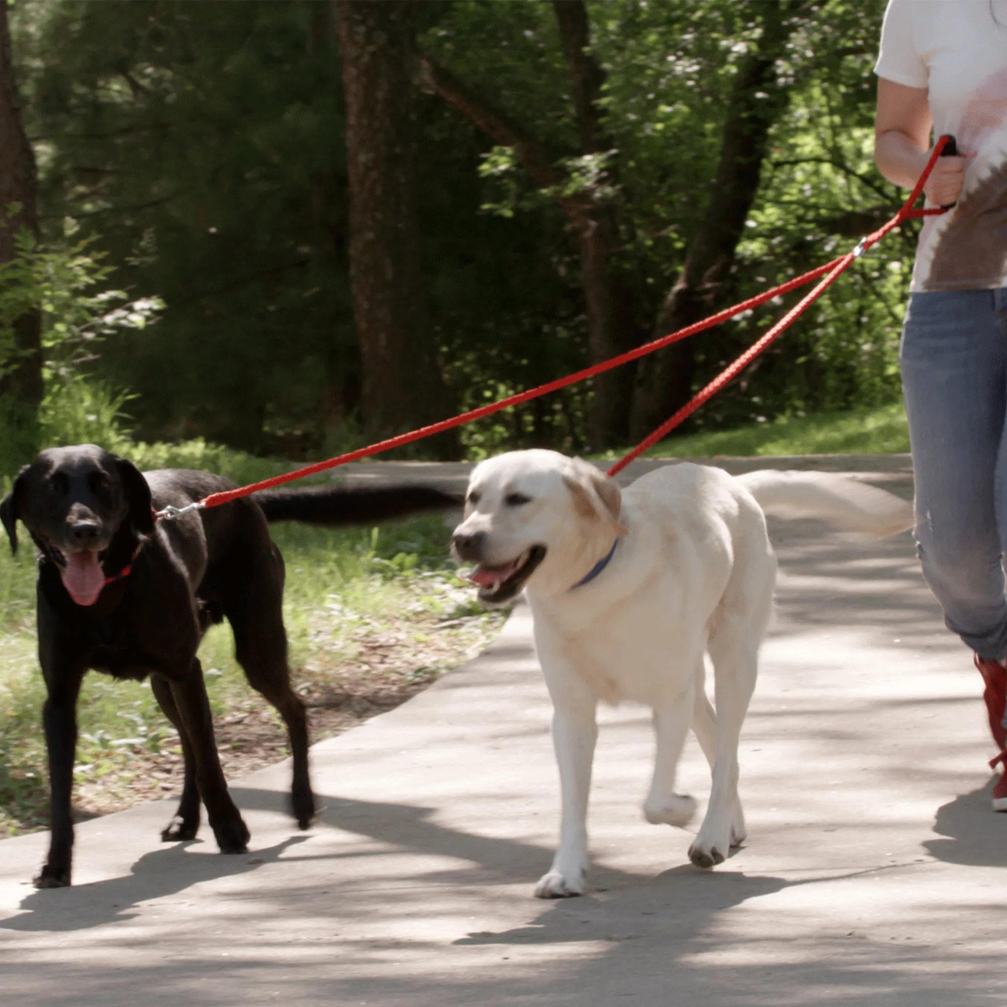 Dual Dog Leash - Red