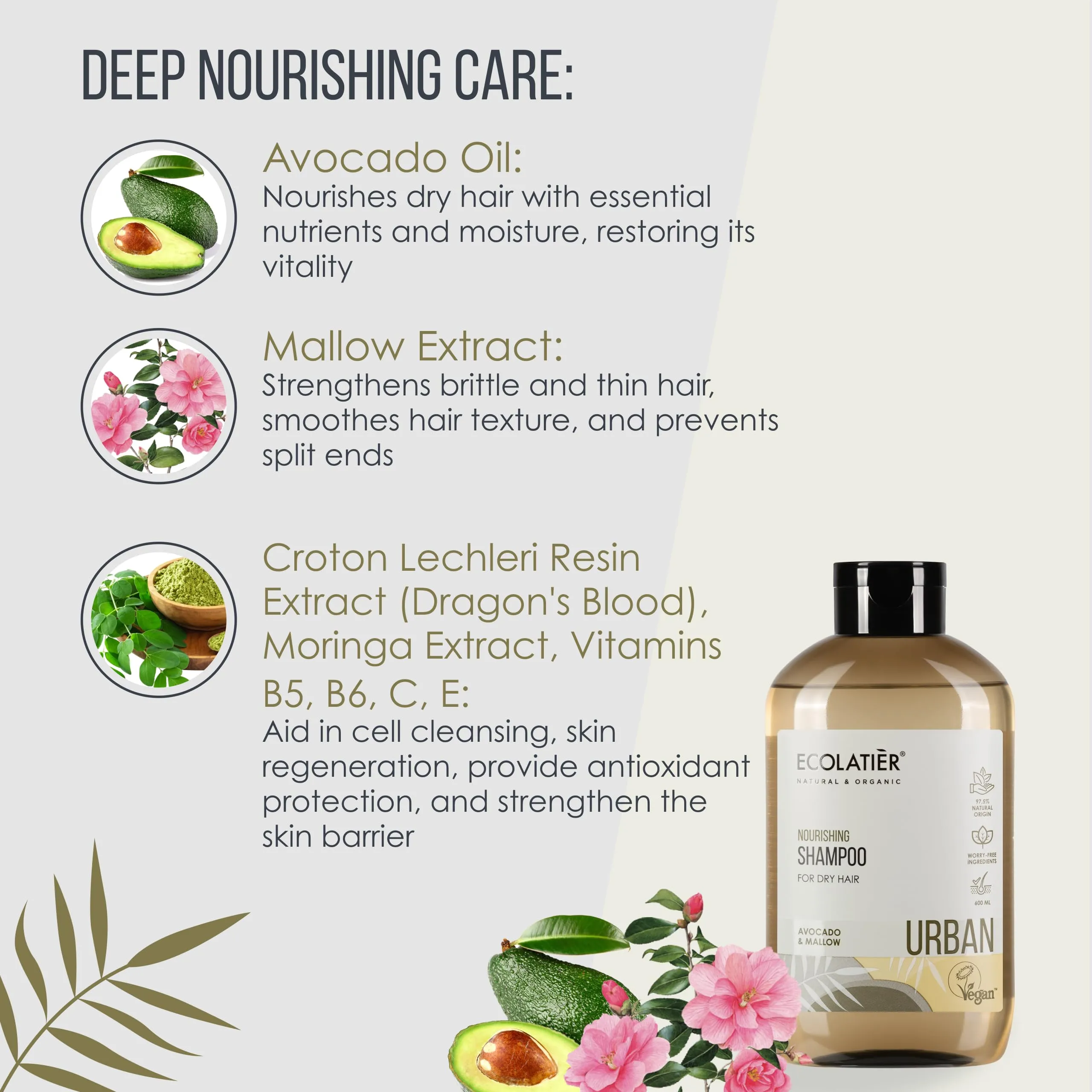 ECOLATIÈR Shampoo for Women Nourishing for Dry Hair with Avocado Oil, Vegan, 97.8% Natural Ingredients, Moisturizing, Non-Toxic for Dry Scalp, Daily Use, 20.3 Fl Oz / 600ml
