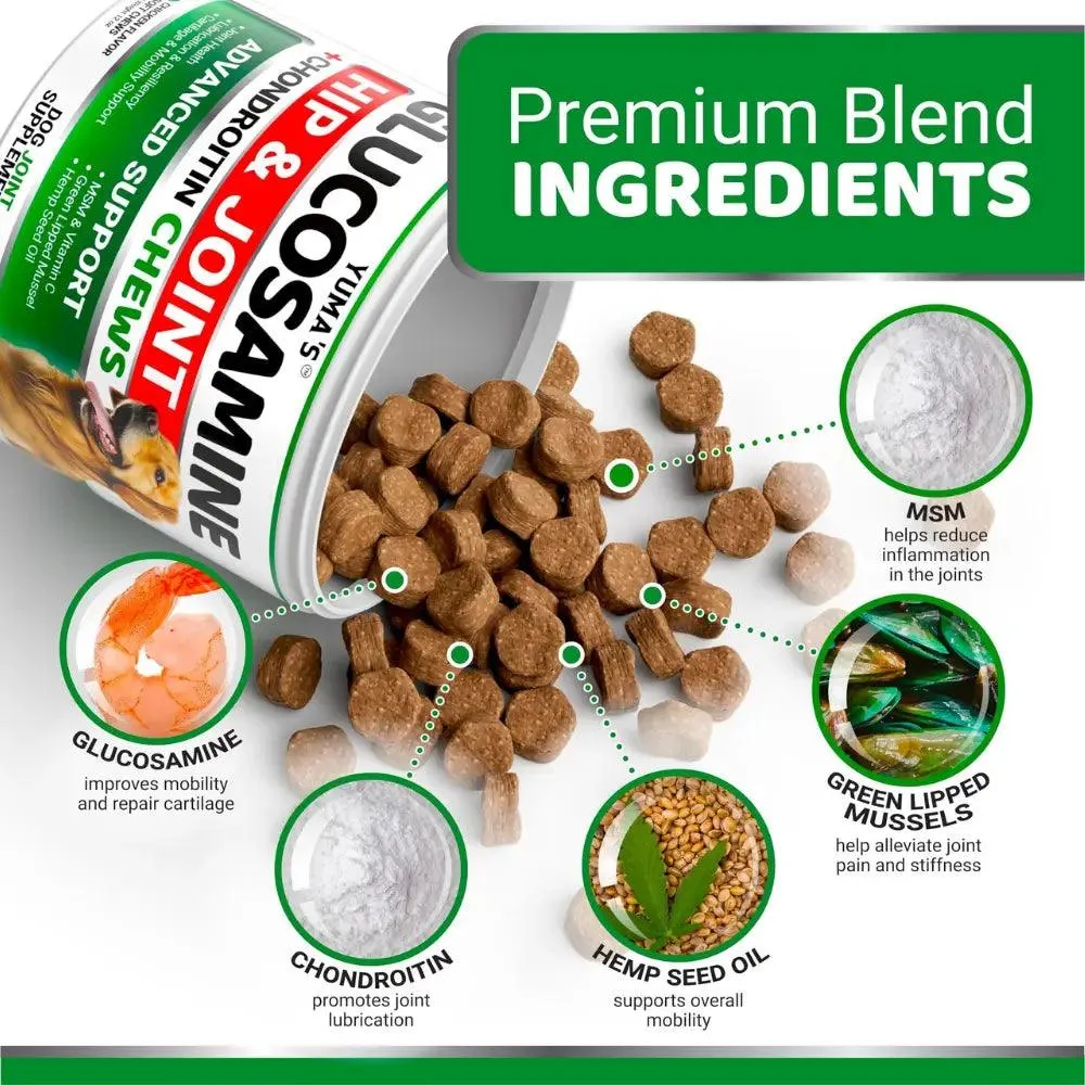 Glucosamine Hip & Joint Chews for Dogs
