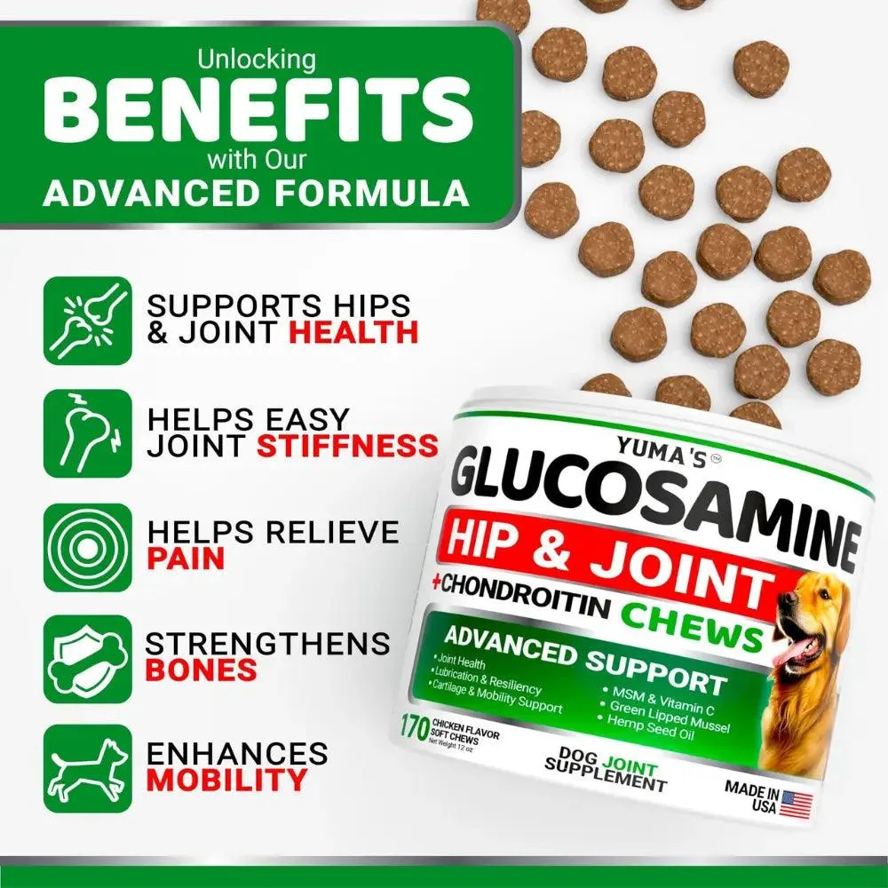Glucosamine Hip & Joint Chews for Dogs