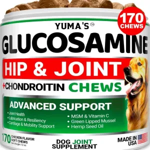 Glucosamine Hip & Joint Chews for Dogs
