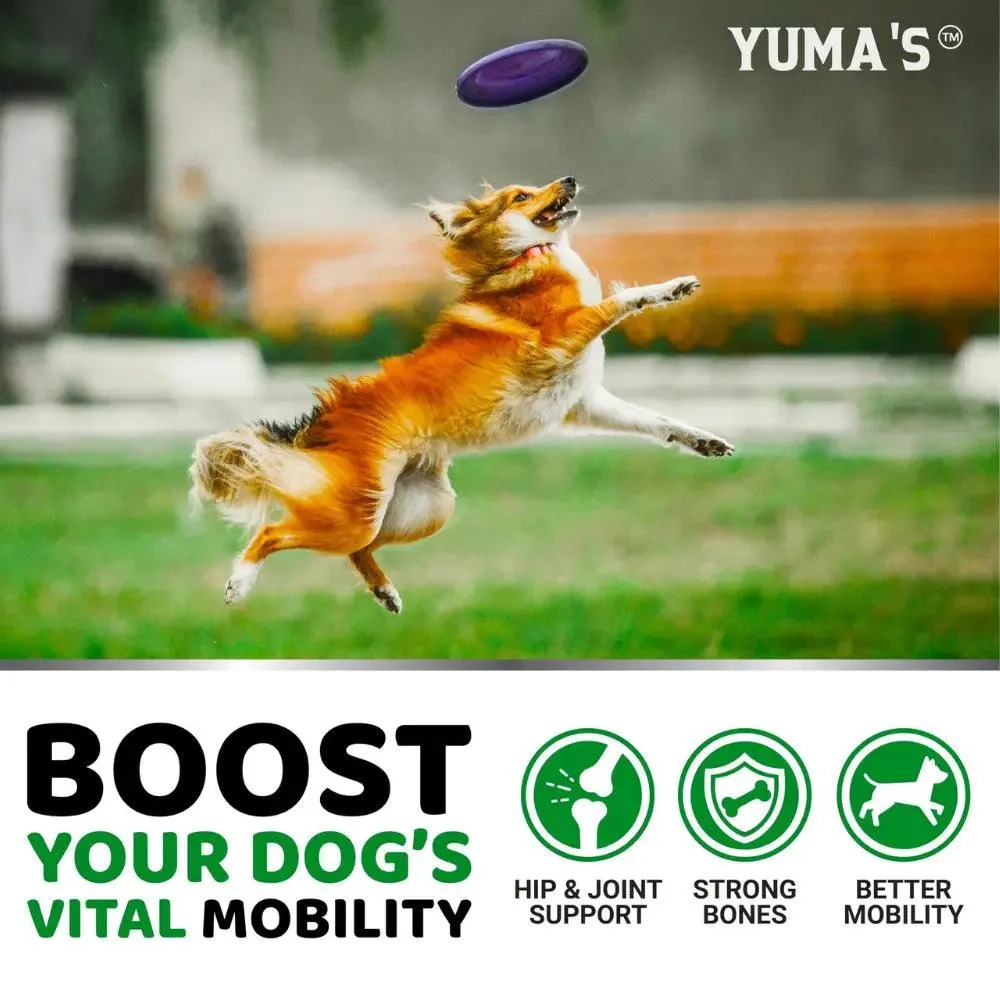 Glucosamine Hip & Joint Chews for Dogs