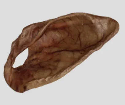 Iberian Pig Ear