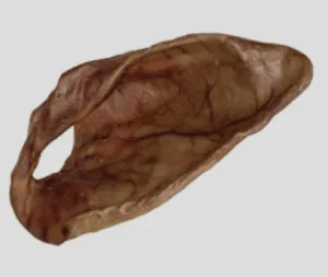 Iberian Pig Ear