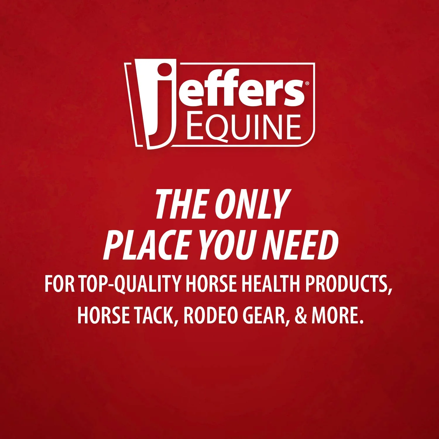 Jeffers Menthol Cooling Shampoo for Horses