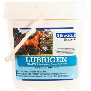 Lubrigen 4lb