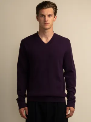 Men V Neck Sweater_Deep Purple