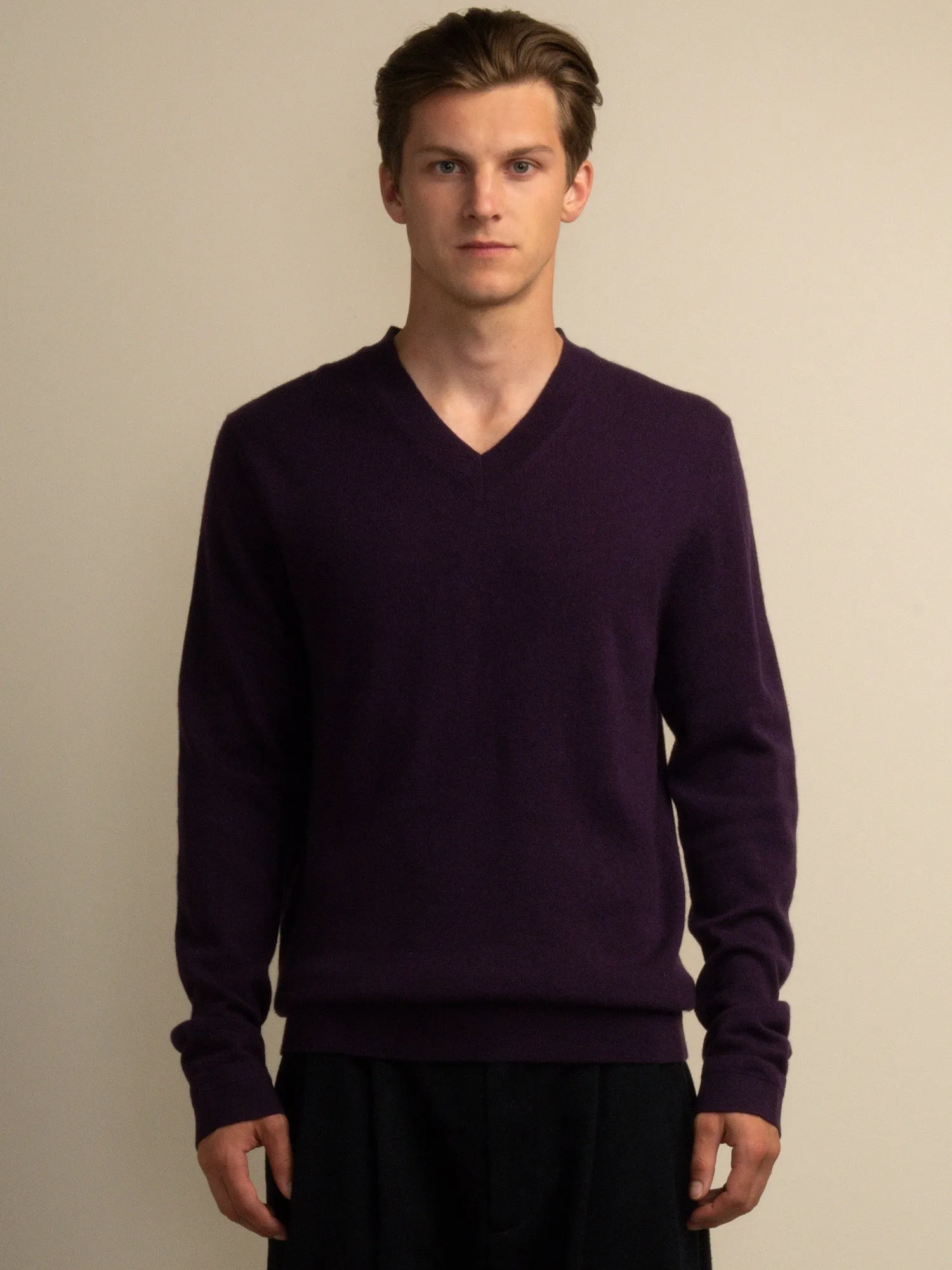 Men V Neck Sweater_Deep Purple