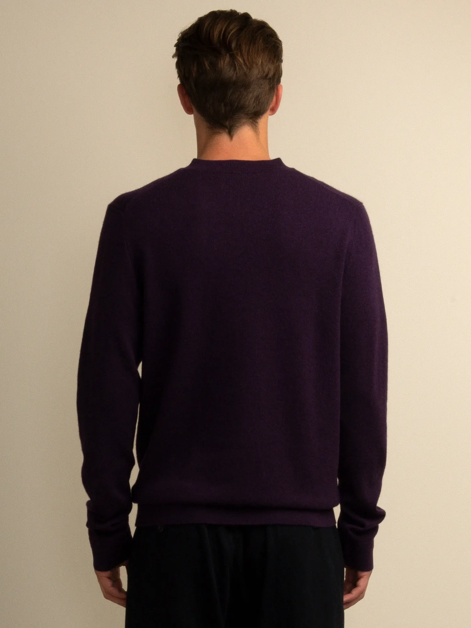 Men V Neck Sweater_Deep Purple