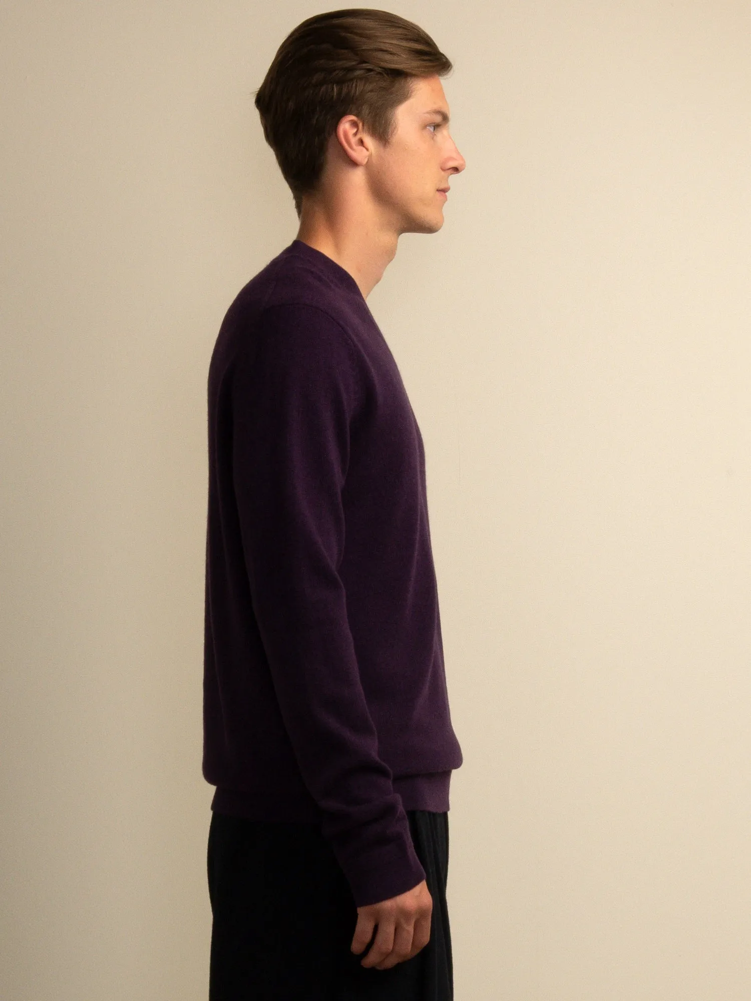 Men V Neck Sweater_Deep Purple