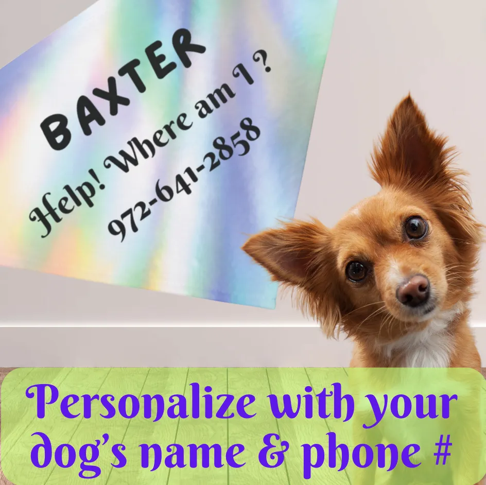 Multi-colored Customizable Keep-Your-Dog-Safe Pet Bandana with "Help Where Am I?" Slogan, Personalize with Dog Name and Phone Number for a Personal Safety Net, Unique Pet Lover Dog Mom Gift