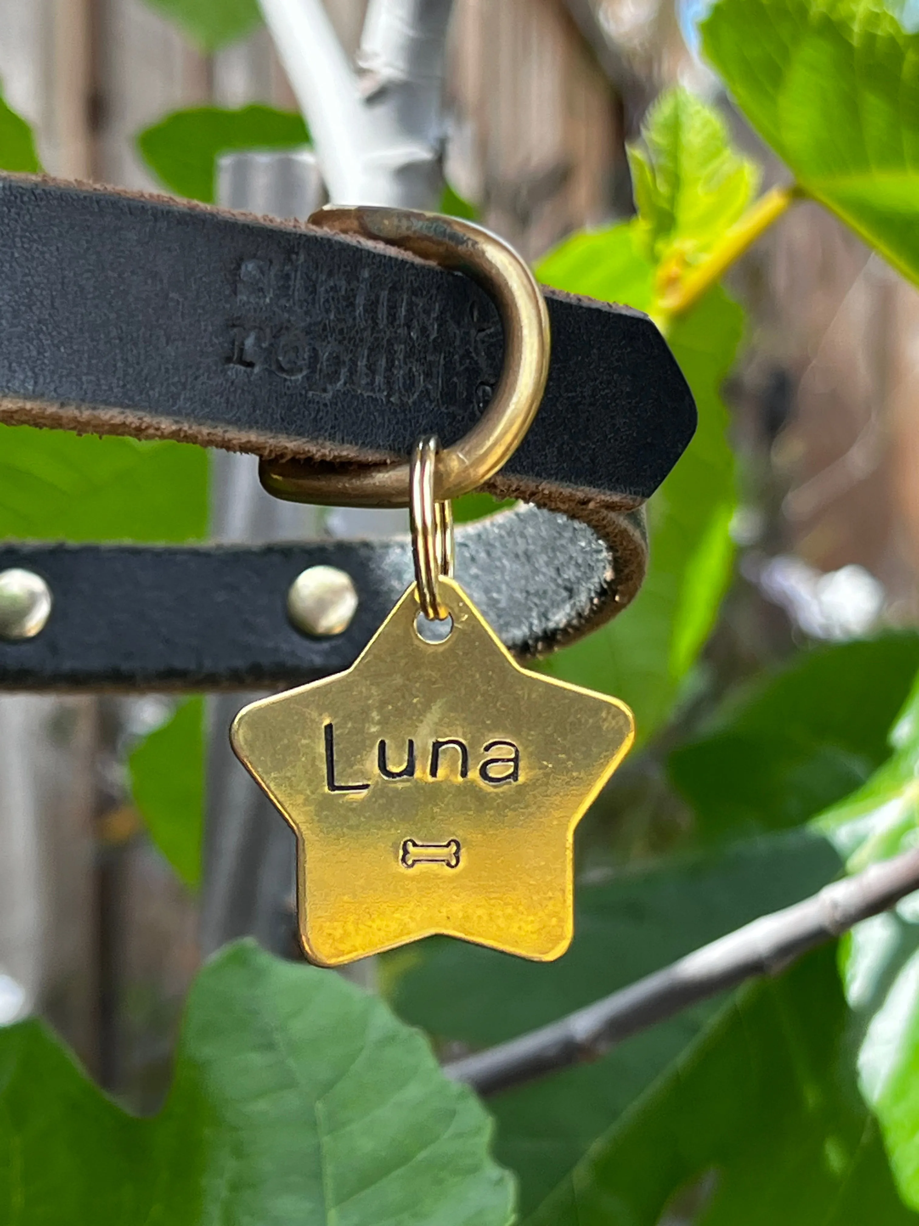 Name Tag