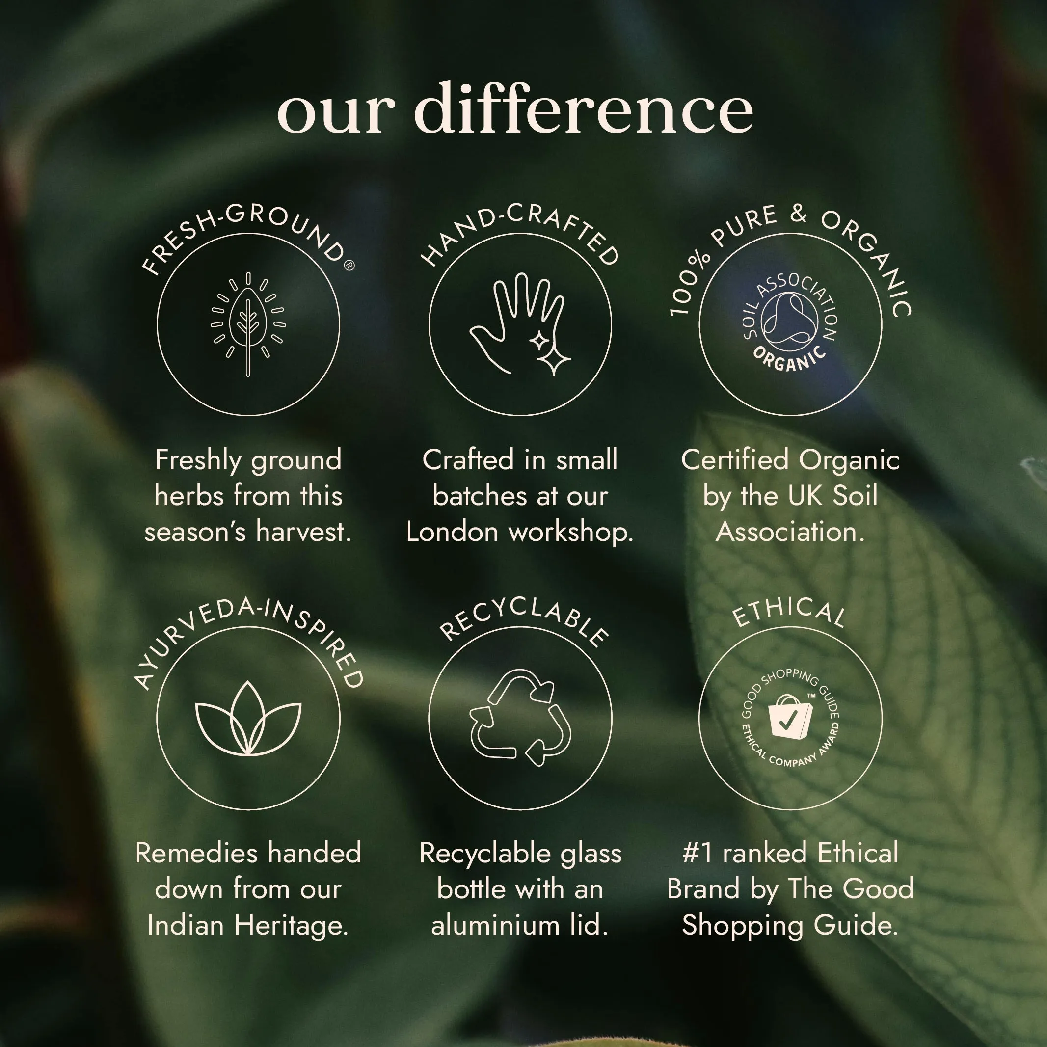 Organic Boswellia