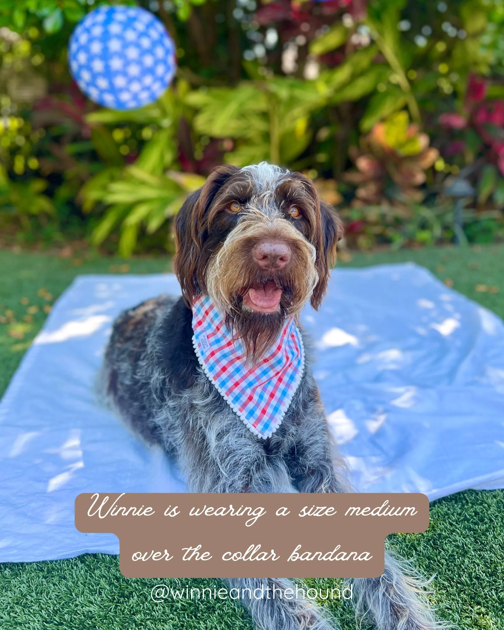 Patriotic Gingham Dog Bandana