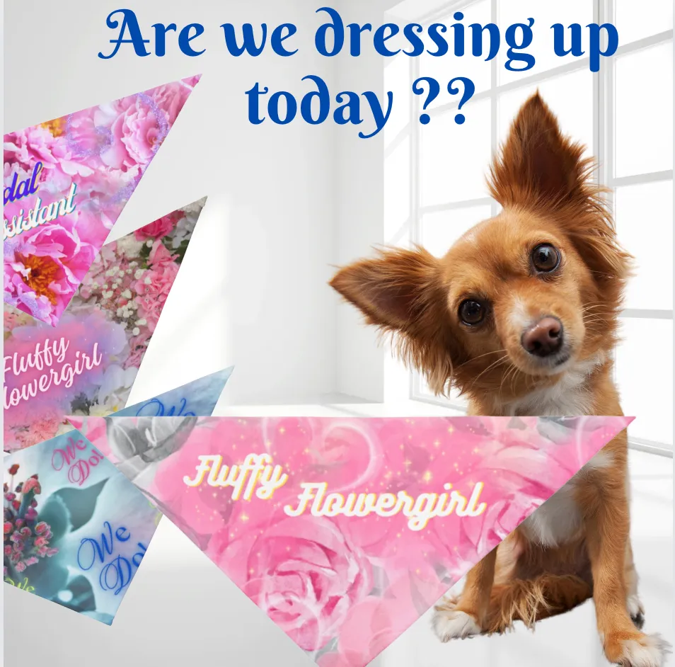 Pink Floral "Fluffy Flowergirl" Pet Bandana, Bridal Shower Engagement Party, Gift For Bride, Groom, CatLady Dog Mom