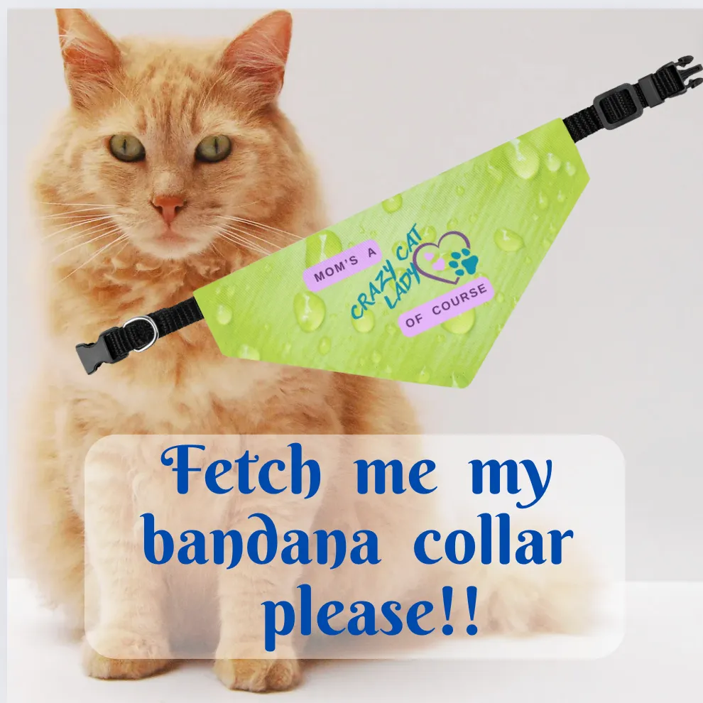 Playful Lime Green Bandana COLLAR with "Mom's A Crazy Cat Lady" Slogan, CatLady Dog Mom Gift, Cat Collar, Easy-On Buckle