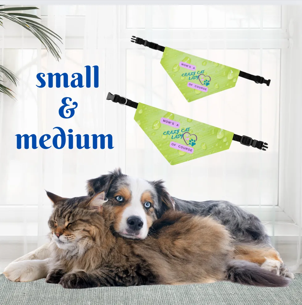 Playful Lime Green Bandana COLLAR with "Mom's A Crazy Cat Lady" Slogan, CatLady Dog Mom Gift, Cat Collar, Easy-On Buckle
