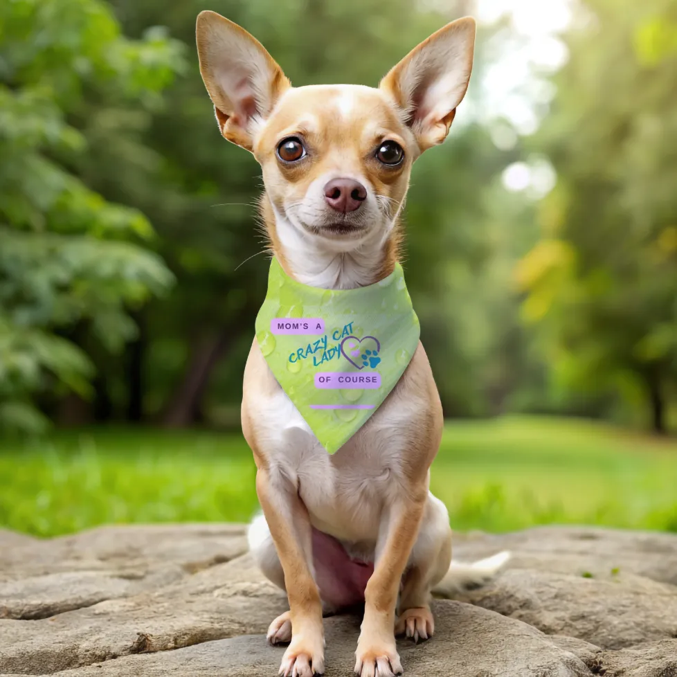 Playful Lime Green Bandana COLLAR with "Mom's A Crazy Cat Lady" Slogan, CatLady Dog Mom Gift, Cat Collar, Easy-On Buckle