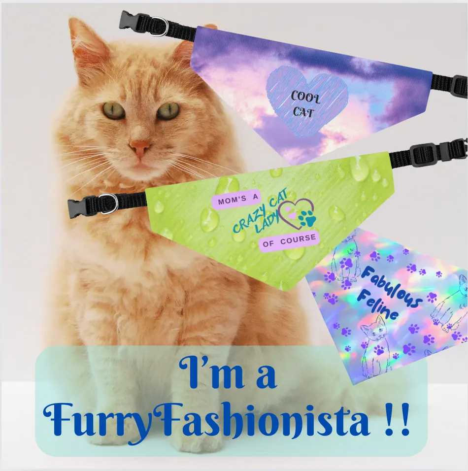 Playful Lime Green Bandana COLLAR with "Mom's A Crazy Cat Lady" Slogan, CatLady Dog Mom Gift, Cat Collar, Easy-On Buckle