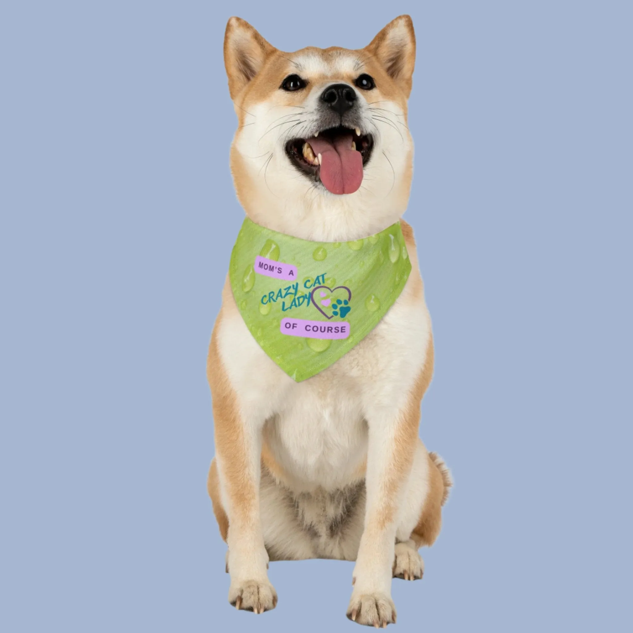 Playful Lime Green Bandana COLLAR with "Mom's A Crazy Cat Lady" Slogan, CatLady Dog Mom Gift, Cat Collar, Easy-On Buckle