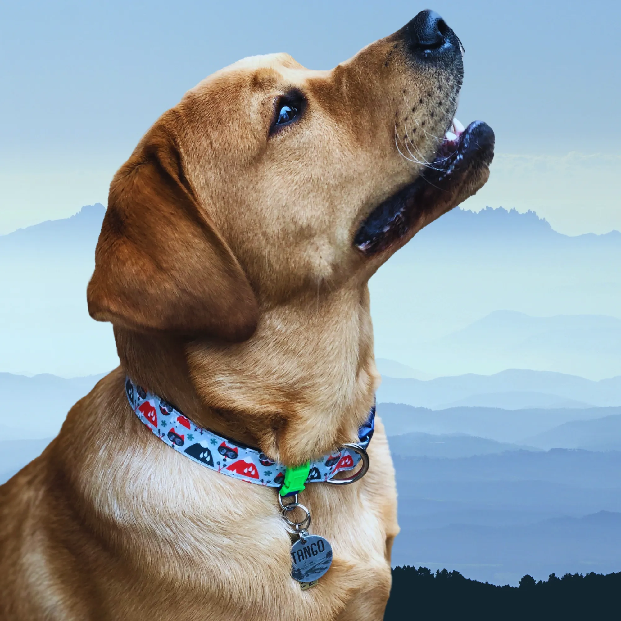Removable ID Tag Changer