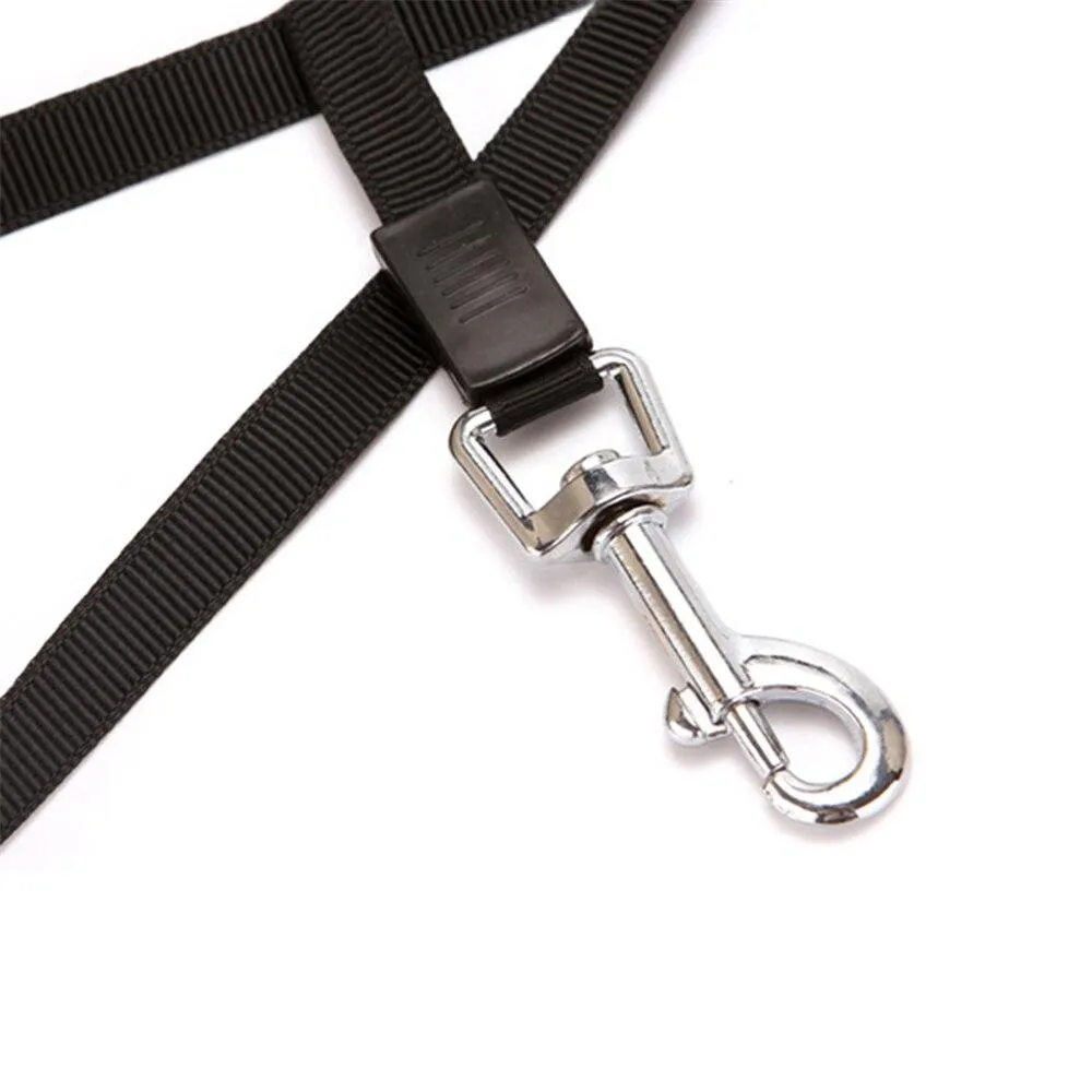 Retractable Dog Leash