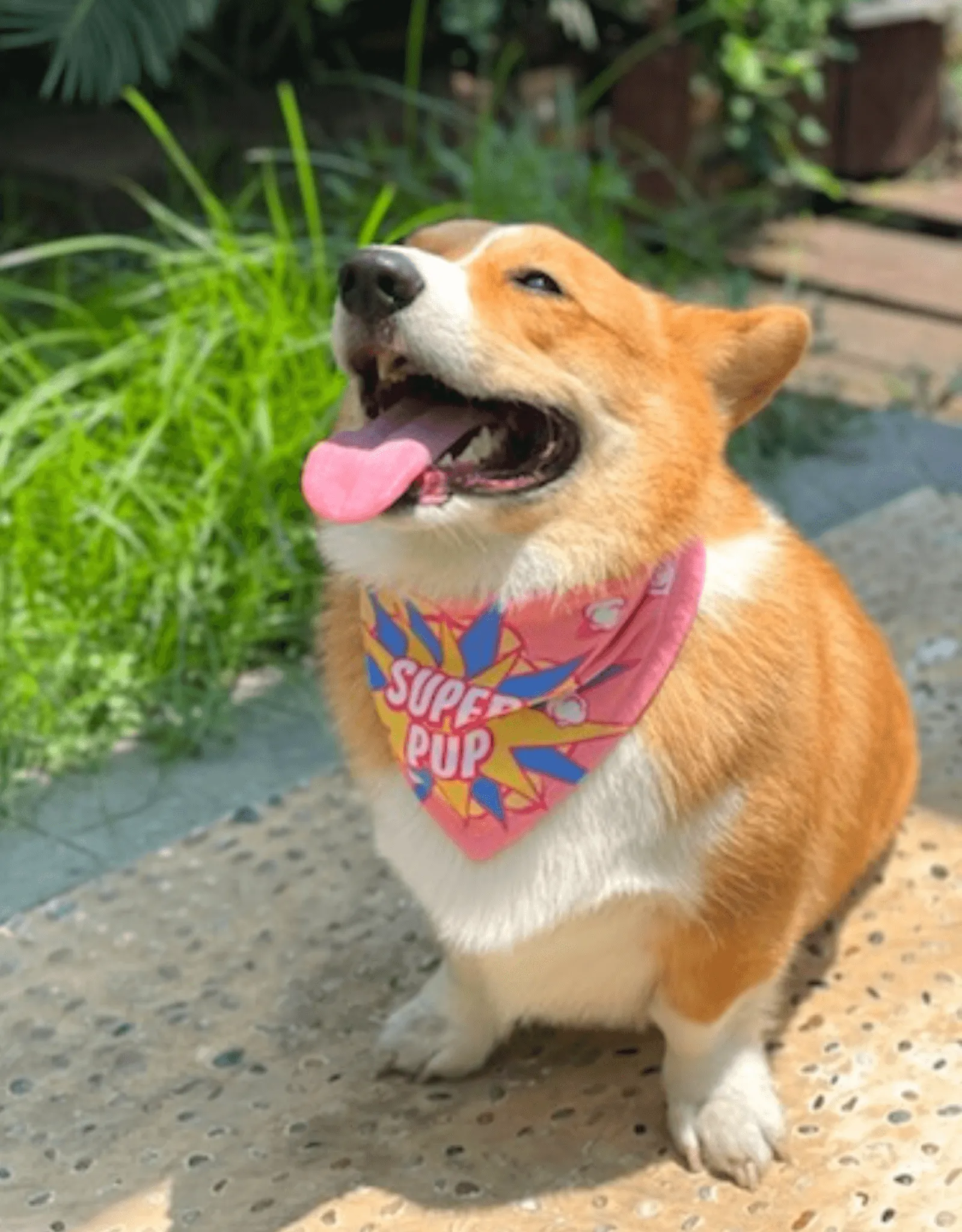 reversible dog bandana - super pup pink