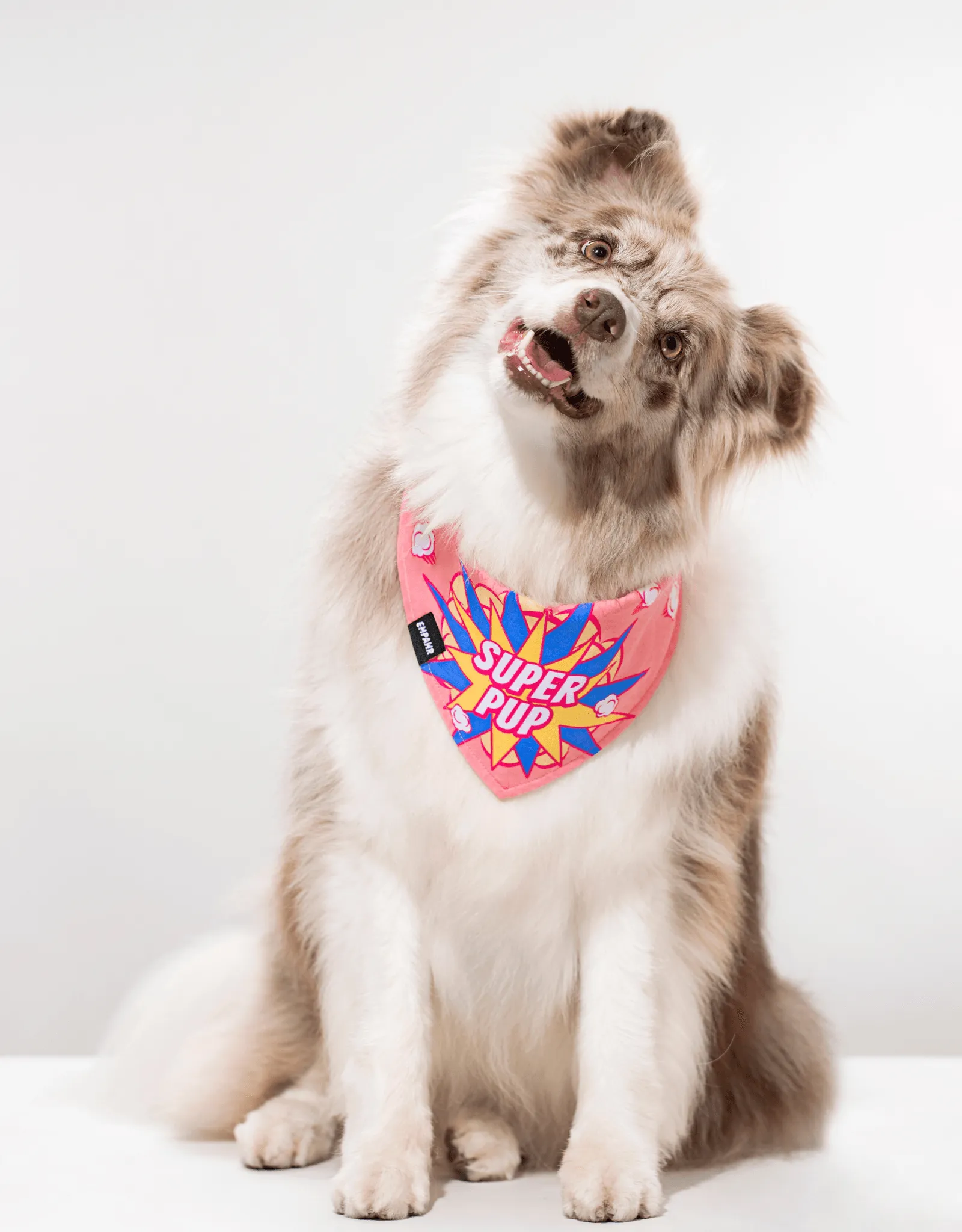 reversible dog bandana - super pup pink