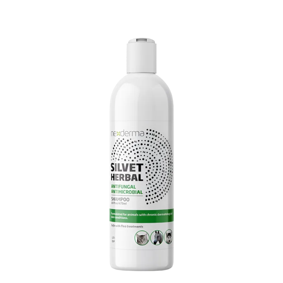 Silvet Herbal Antifungal Antimicrobial Shampoo 16oz by Nexderma