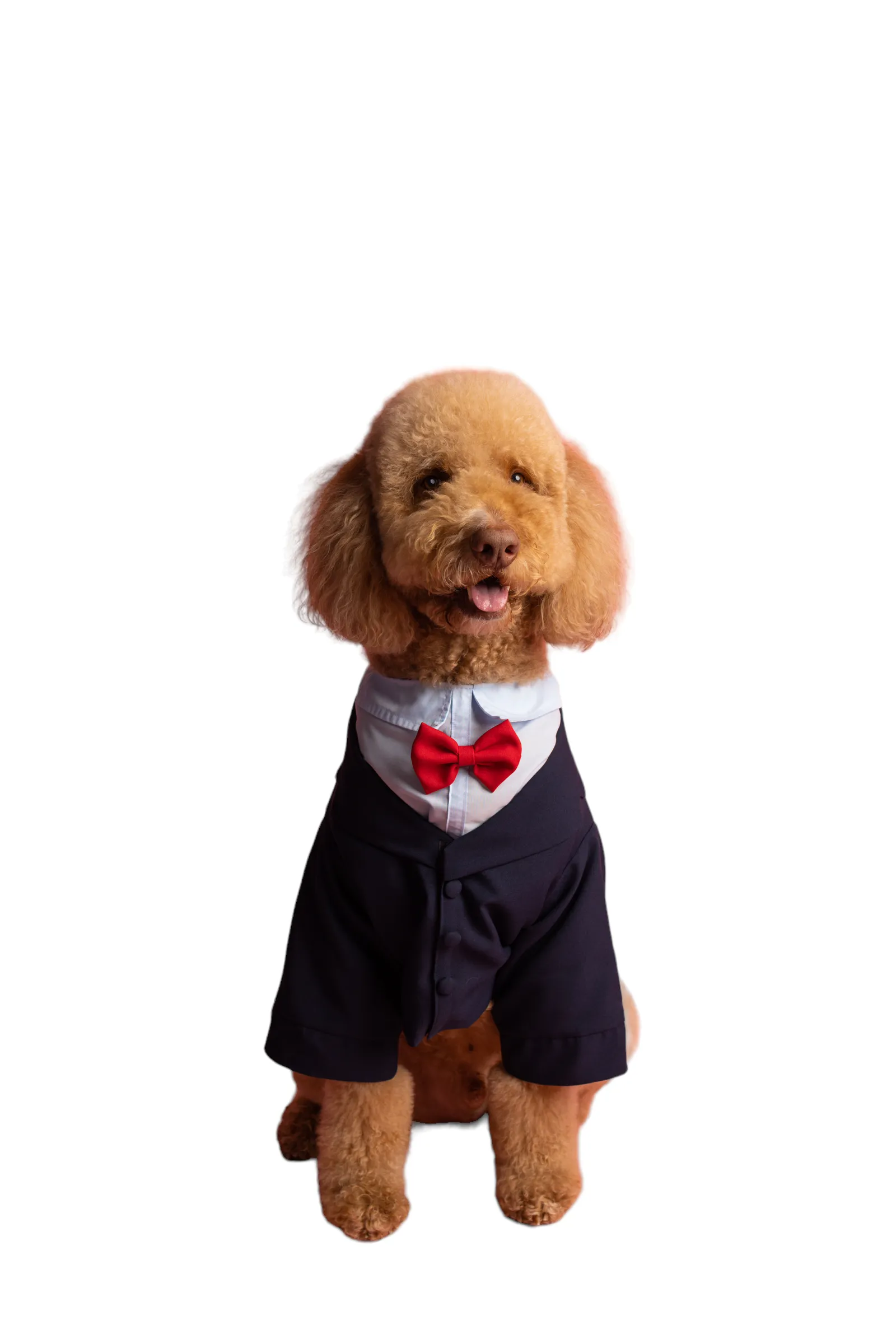 Tuxedo Red