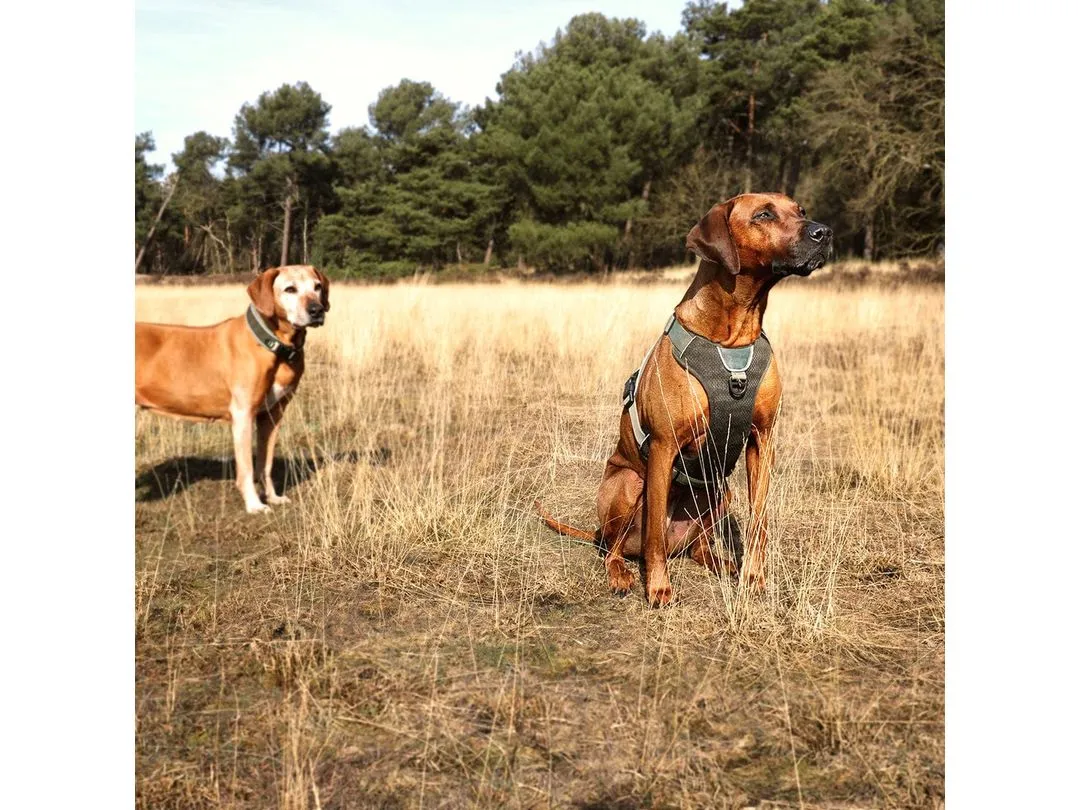 Ultimate Fit Control Collar Classic Undercover Green