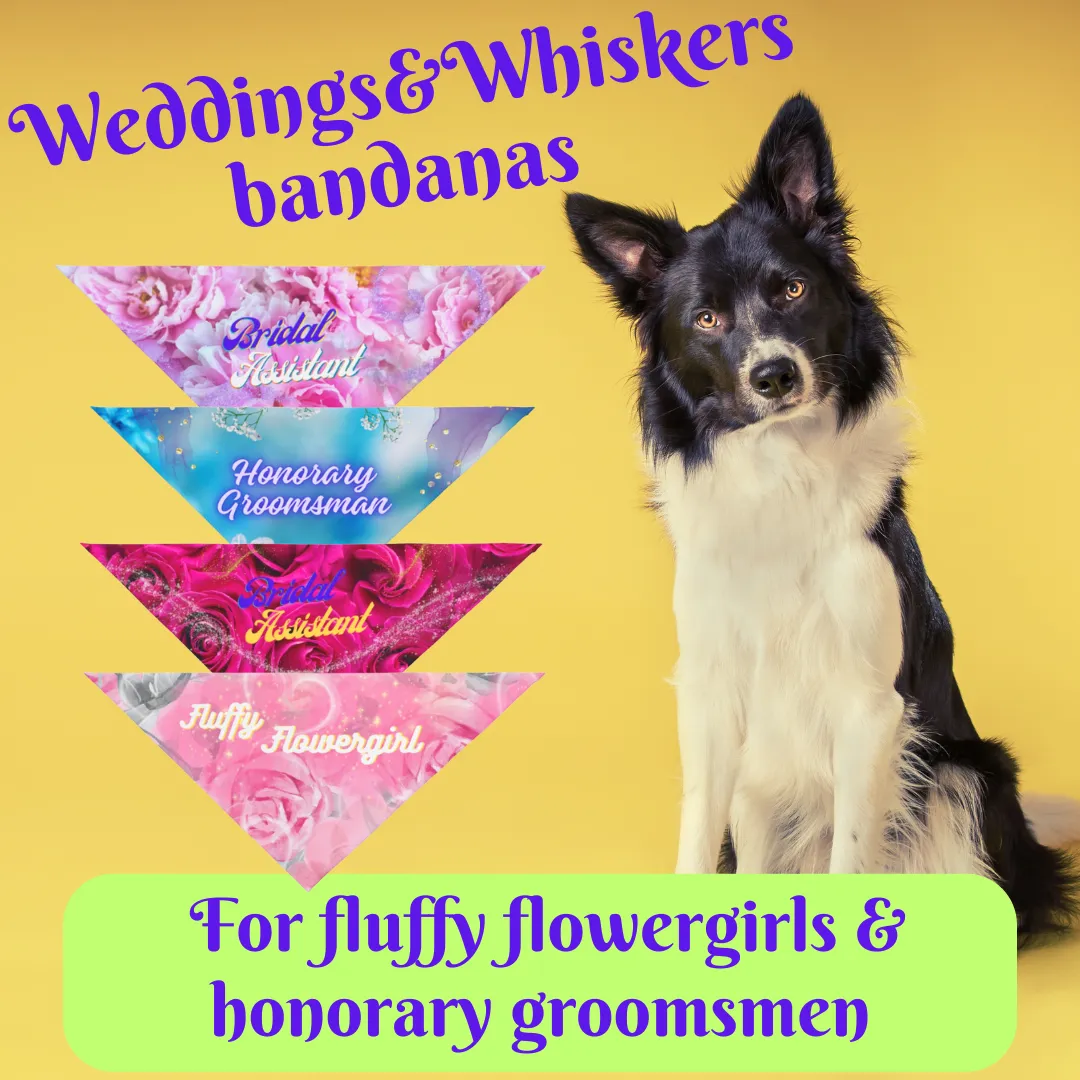 Vibrant Fushia Floral "Bridal Assistant" Pet Bandana, Bridal Engagement Wedding Botanical Print, Pet Lover CatLady Gift For Bride and Groom
