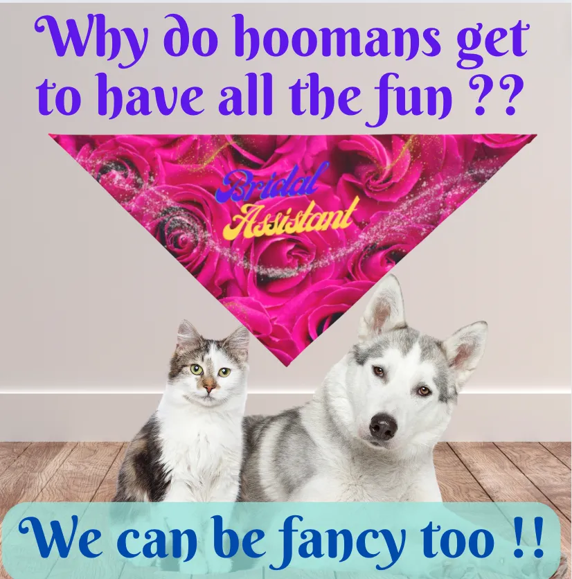 Vibrant Fushia Floral "Bridal Assistant" Pet Bandana, Bridal Engagement Wedding Botanical Print, Pet Lover CatLady Gift For Bride and Groom
