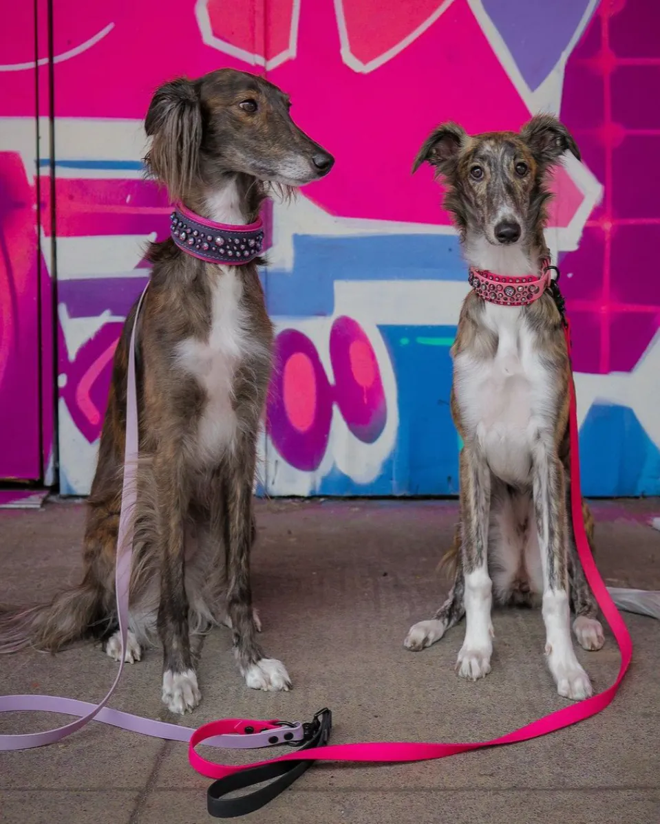 Waterproof Two Dog Leash / Two Dog Leash Splitter | Built with BioThane®