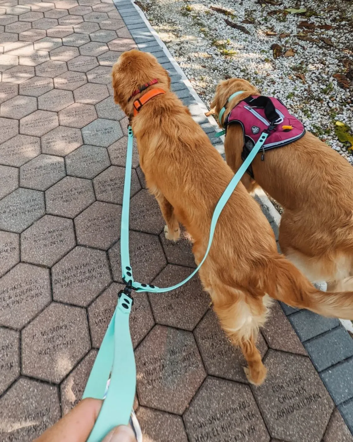 Waterproof Two Dog Leash / Two Dog Leash Splitter | Built with BioThane®